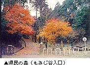 県民の森（もみじ谷入口）写真