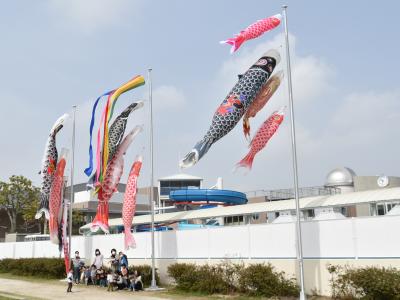 5.1こいのぼり