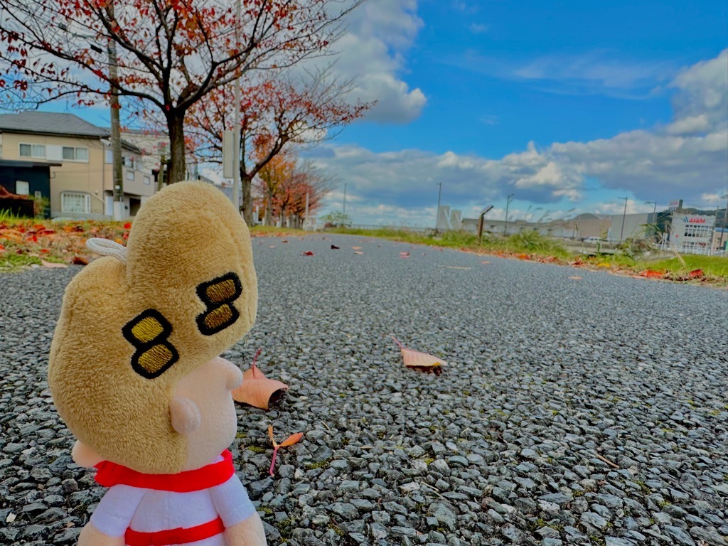 御笠川ルート_川沿い