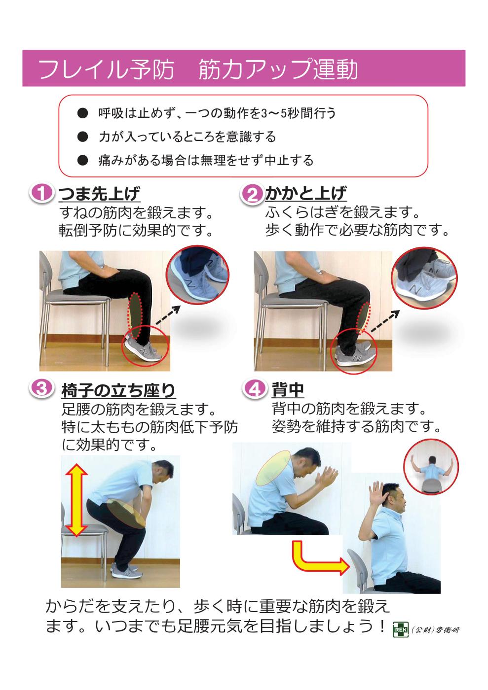 チラシ2-3