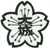 大城小学校の画像