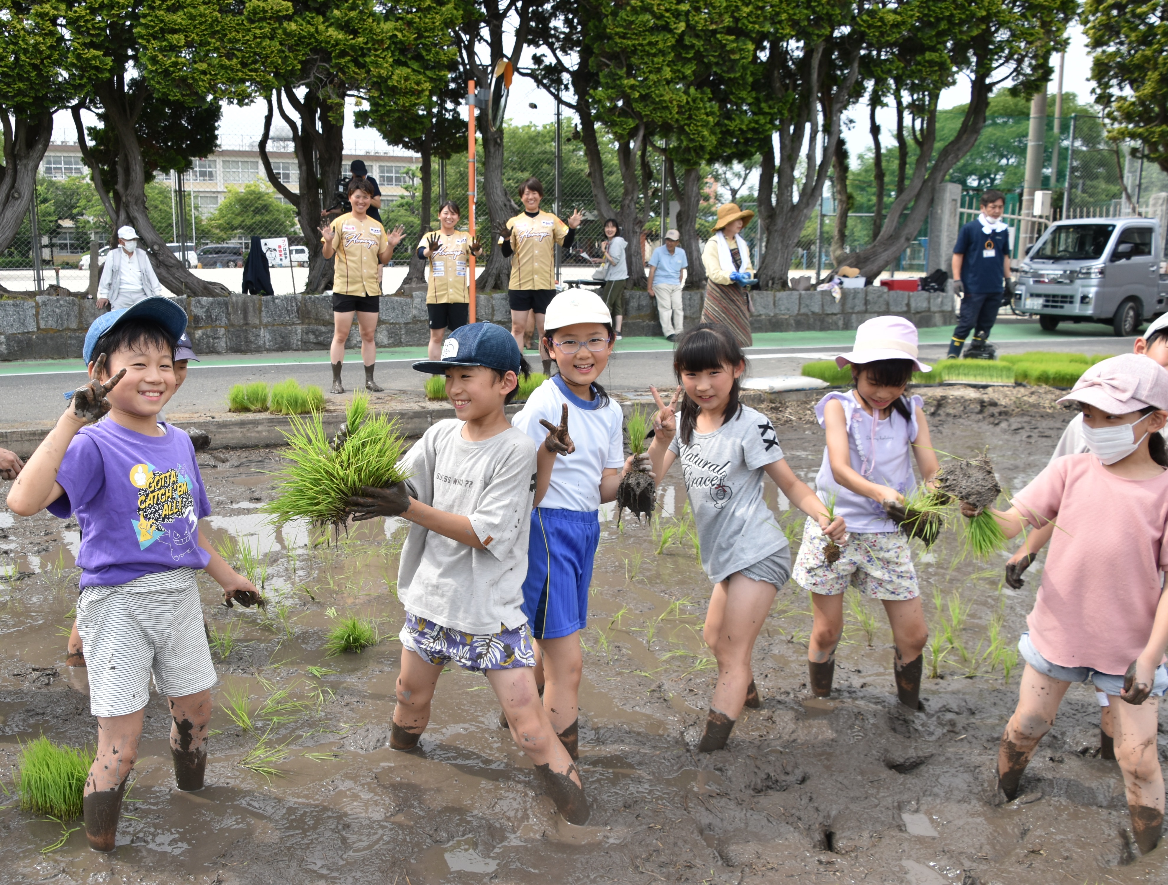 田植え体験
