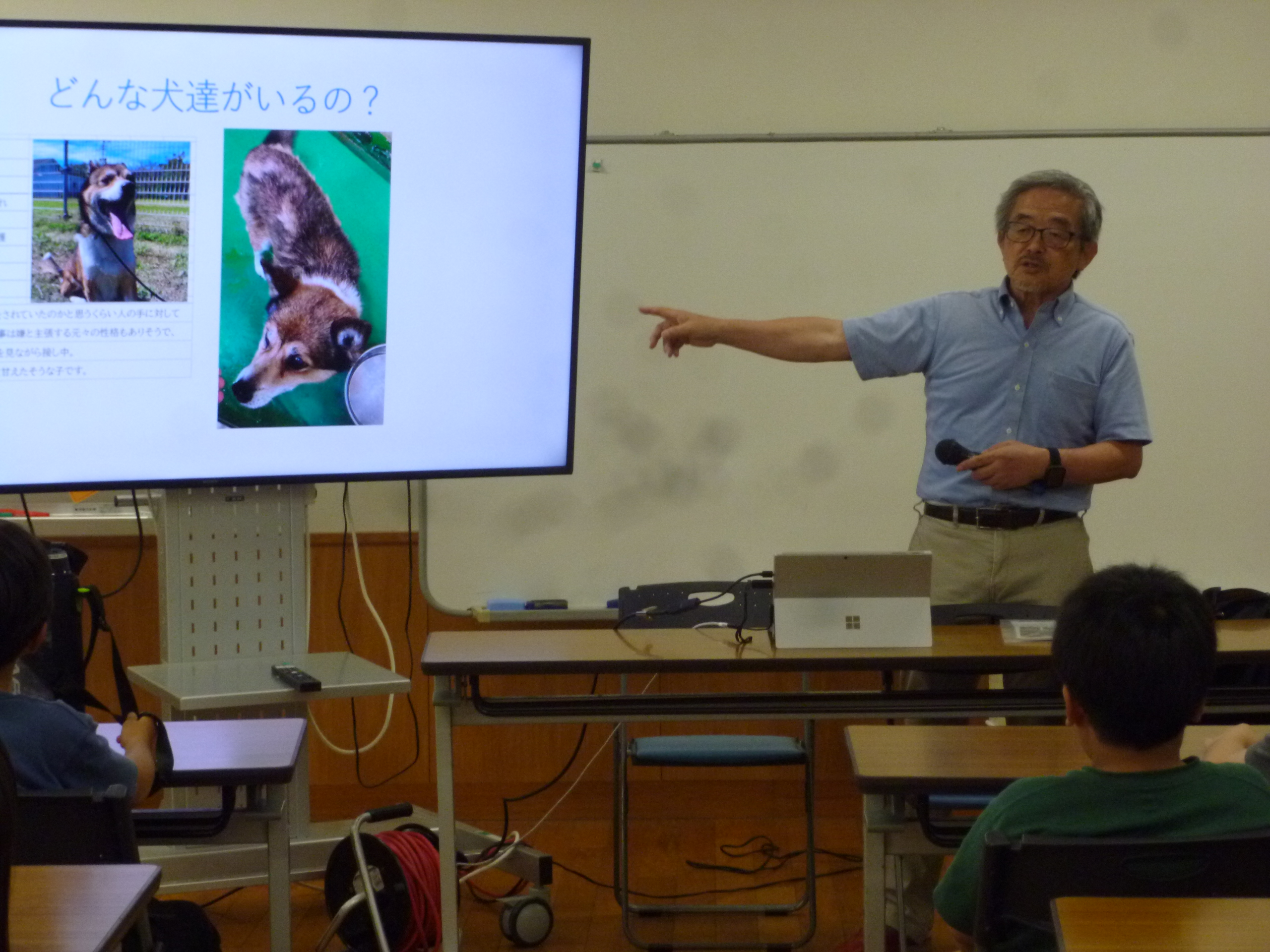 保護犬について学んでいる様子