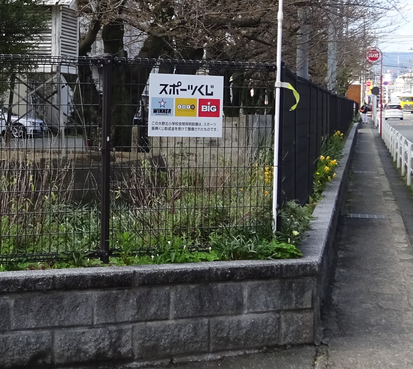 大野北小３